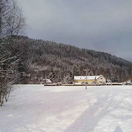 Апартаменты In - Isergebirge 51889 *