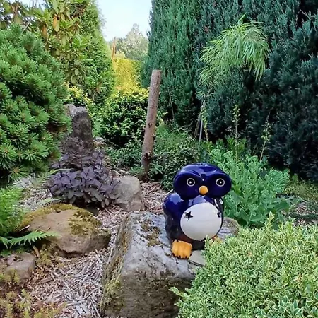 In - Isergebirge 51889 Lägenhet *