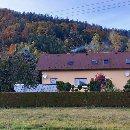 In - Isergebirge 51889 Apartment *