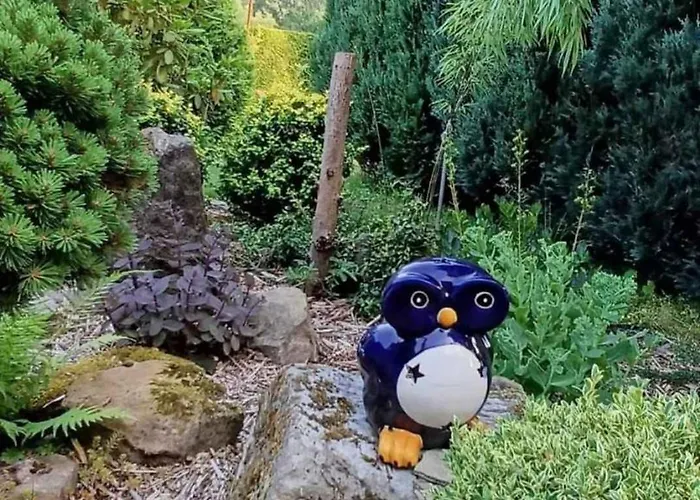 In - Isergebirge 51889 Lägenhet *